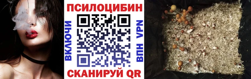 маркетплейс телеграм  Чкаловск  Галлюциногенные грибы Psilocybine cubensis 