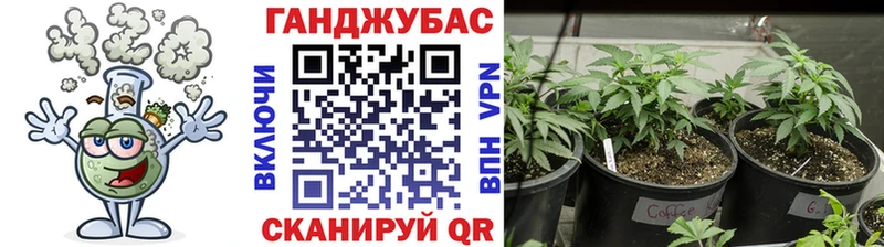 mega ссылка  Чкаловск  Шишки марихуана VHQ  сколько стоит 